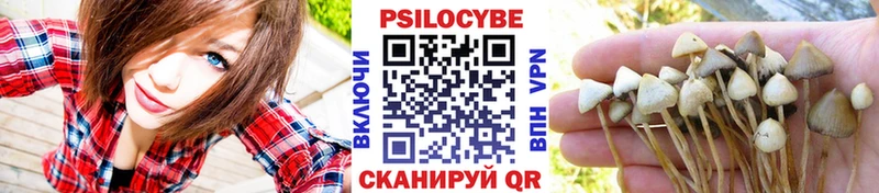 Галлюциногенные грибы мицелий Вязьма